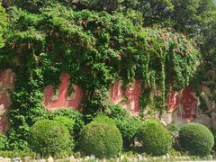-嵖岈山风景区