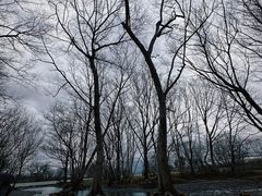 -西溪南古村落景区