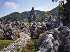 -千岛湖石林