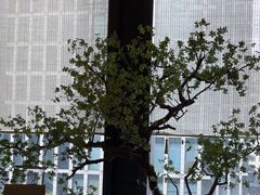 -潮上潮(南中环店)