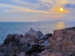 -小麦岛公园