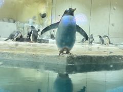 -威海华夏城景区