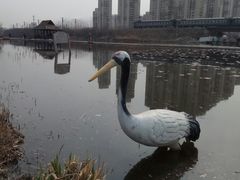 -前关湿地公园