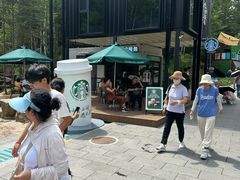 -汤旺河林海奇石景区
