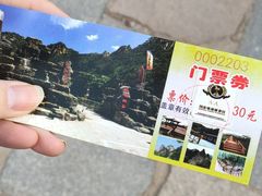 -大岭沟猕猴桃谷风景区