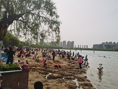 -天鹅湖体育公园