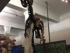 -奥克兰战争纪念博物馆
