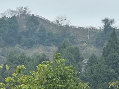 -桃源山庄·水蜜桃采摘·柴火鸡·烧烤团建(龙泉山店)