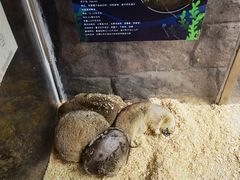 -南昌融创海世界