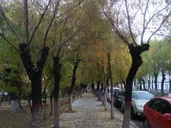 -哈尔滨师范大学(江南校区)