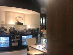 -虹桥机场国航贵宾室v8