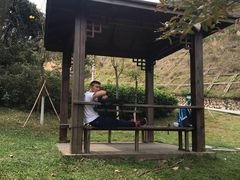 -火炉山森林公园