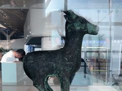 -鄂尔多斯伊金霍洛国际机场