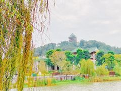 -山水茶艺馆·点心粤菜·30年老字号