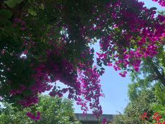 -大妙火锅·非物质文化遗产(东湖公园店)