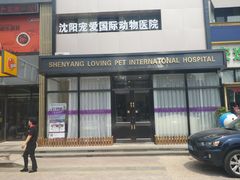 -宠爱国际动物医院· 猫科· 外科·中兽医(长白店)