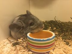 -龙猫仔乐园(惠福东路店)