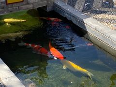 -西安市广仁寺