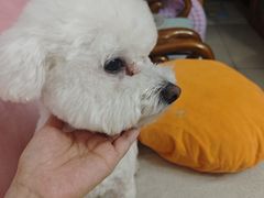 -瑞幸咖啡(亿城国际中心店)