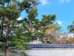 -京都御所