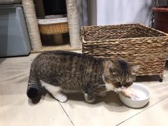 -小时光咖啡馆(开森度假森林店)