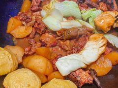 -小炉灶铁锅炖