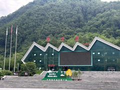 -牛背梁国家森林公园