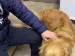 -美联众合动物医院·24h转诊中心