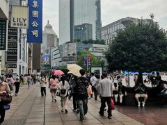 -泰康食品(南京东路店)