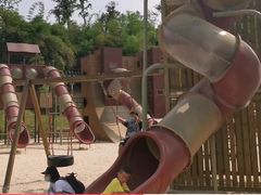 -枫香湖儿童公园