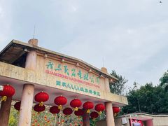 -广东茂名森林公园