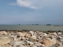 -野狸岛