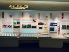 -中国茶叶博物馆(双峰馆区)