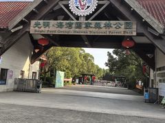 -上海海湾国家森林公园