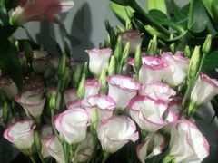 -何兮花店·气球派对鲜花店(马桥银春路万科城店)