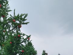 -大雁塔北广场音乐喷泉