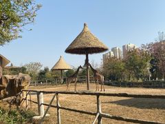 -南昌动物园