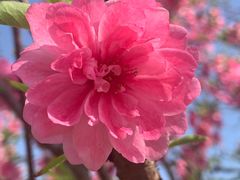 -洋湖国家湿地公园