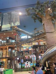 -卡通尼·Safari非洲探索乐园·生日会(金桥国际商业广场店)