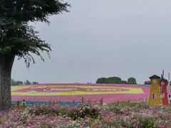 -歌斐颂巧克力小镇