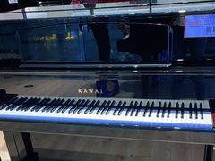 -柏斯音乐艺术中心·钢琴·吉他(世纪金源店)