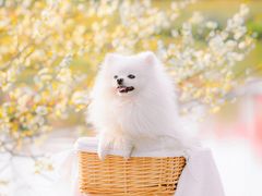 -花开海上生态园