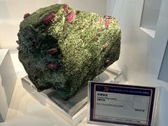 -中国地质大学逸夫博物馆