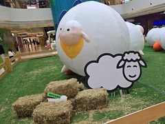 -阳光天地