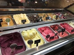 -Patagonia Chocolates(皇后镇店)