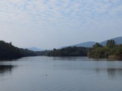 -佛手湖郊野公园