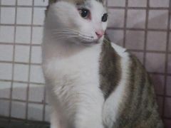 -广州柏悦酒店·悦吧·顶楼露天酒吧