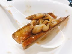 蛏子-琼菜王(南海店)