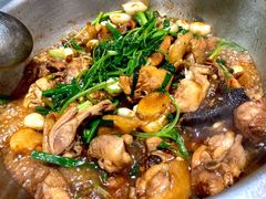 炒鸡-九道菜有鸡鱼头(石鼓路店)