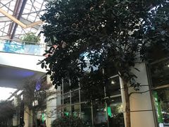 -丽江三义国际机场